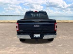 2021 F-150 Thumbnail 12