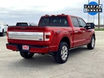 2021 F-150 Thumbnail 7