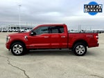 2021 F-150 Thumbnail 10
