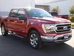 2021 F-150 Thumbnail 11