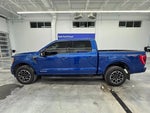 2022 F-150 Thumbnail 8