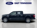 2022 F-150 Thumbnail 6