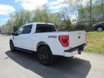 2022 F-150 Thumbnail 9