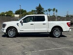 2023 F-150 Thumbnail 6