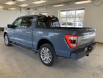 2023 F-150 Thumbnail 7