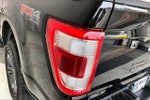2023 F-150 Thumbnail 13