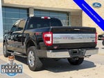 2023 F-150 Thumbnail 10