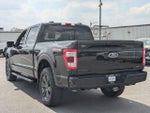 2023 F-150 Thumbnail 5