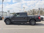 2023 F-150 Thumbnail 6