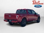 2023 F-150 Thumbnail 7