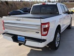 2023 F-150 Thumbnail 5