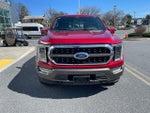 2023 F-150 Thumbnail 8