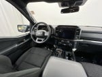 2023 F-150 Thumbnail 9