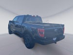 2023 F-150 Thumbnail 11