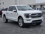 2023 F-150 Thumbnail 3