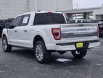 2023 F-150 Thumbnail 6