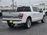2023 F-150 Thumbnail 8