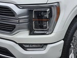 2023 F-150 Thumbnail 10