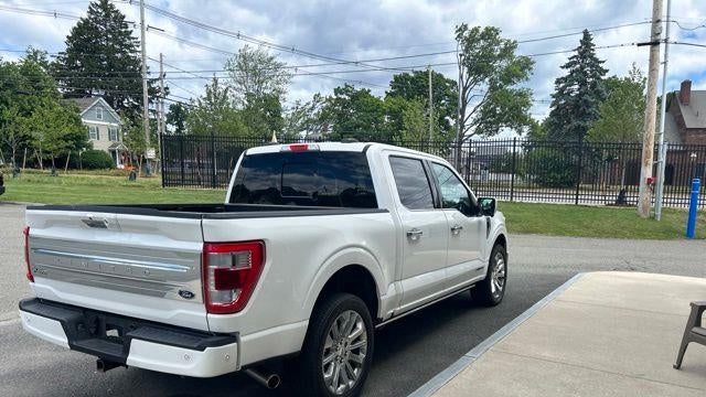 2023 Ford F-150 Platinum