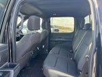 2023 F-150 Thumbnail 12