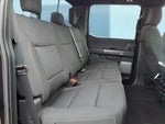 2023 F-150 Thumbnail 10