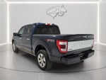 2023 F-150 Thumbnail 3