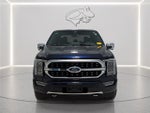 2023 F-150 Thumbnail 8