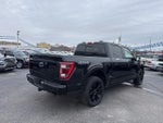 2023 F-150 Thumbnail 7