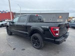 2023 F-150 Thumbnail 9