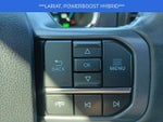 2023 F-150 Thumbnail 7