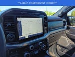 2023 F-150 Thumbnail 13