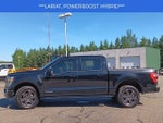 2023 F-150 Thumbnail 29