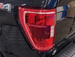 2023 F-150 Thumbnail 13