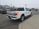 2023 F-150 Thumbnail 5