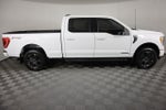2023 F-150 Thumbnail 2