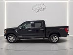 2023 F-150 Thumbnail 2