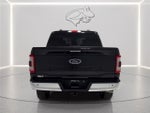 2023 F-150 Thumbnail 4