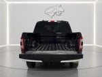 2023 F-150 Thumbnail 9