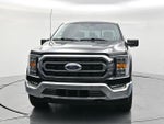 2023 F-150 Thumbnail 2