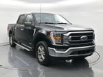 2023 F-150 Thumbnail 3