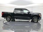 2023 F-150 Thumbnail 4