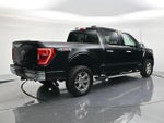 2023 F-150 Thumbnail 5