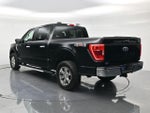 2023 F-150 Thumbnail 7