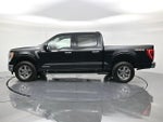 2023 F-150 Thumbnail 8