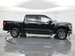 2023 F-150 Thumbnail 4
