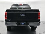 2023 F-150 Thumbnail 6