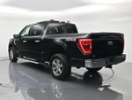 2023 F-150 Thumbnail 7