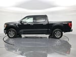 2023 F-150 Thumbnail 8