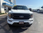 2023 F-150 Thumbnail 6