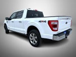 2023 F-150 Thumbnail 7